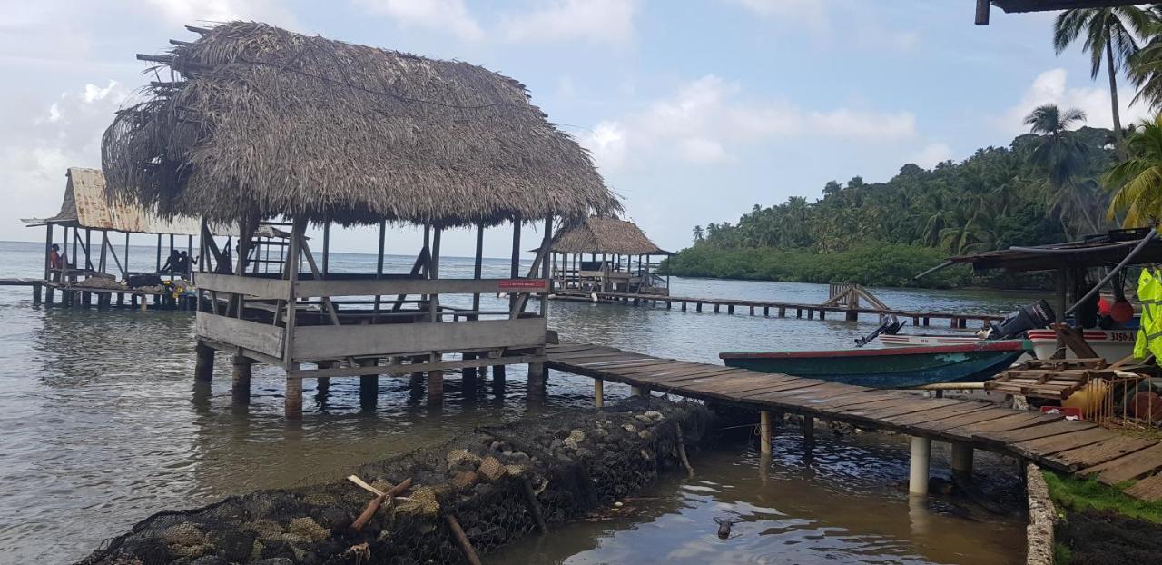 Rainforest Lodge Del Rio Portobelo Exteriör bild