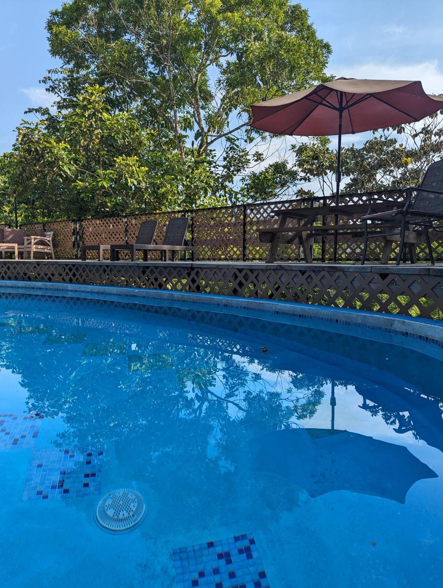 Rainforest Lodge Del Rio Portobelo Exteriör bild