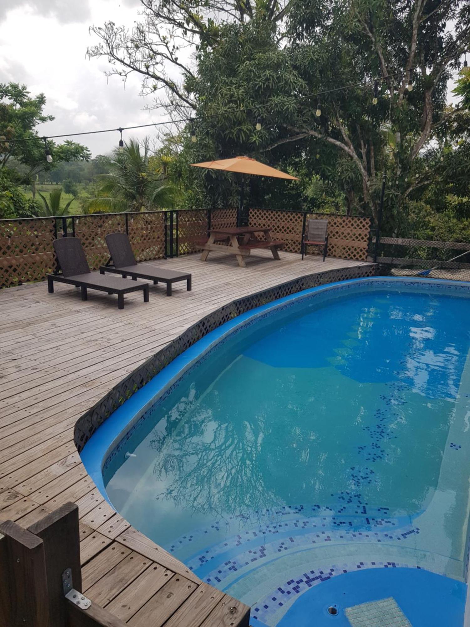 Rainforest Lodge Del Rio Portobelo Exteriör bild